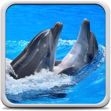 Priedas „Delfinai Live Wallpaper“
