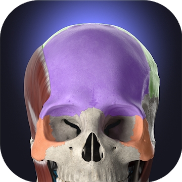 Pielikums "Anatomyka - interaktīvā 3D cilvēka anatomija"