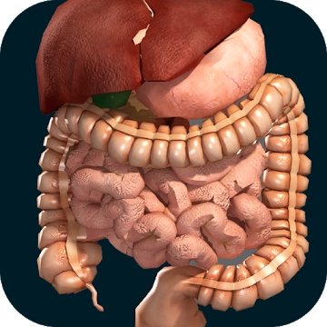 Dodatek "Notranji organi v 3D (anatomija)"