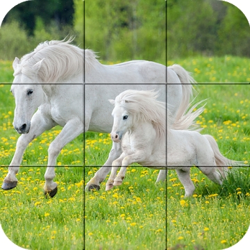 Annexe "Puzzle - De beaux chevaux"