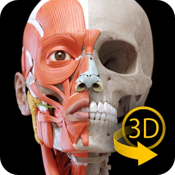 Додаток "М'язи | Скелет - 3D Атлас анатомії"