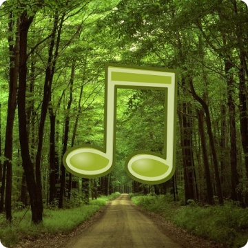 Aplikacja „Dźwięki lasu”